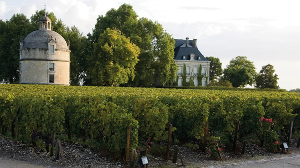 4 Week Wine Evening - Tour de France - TBC