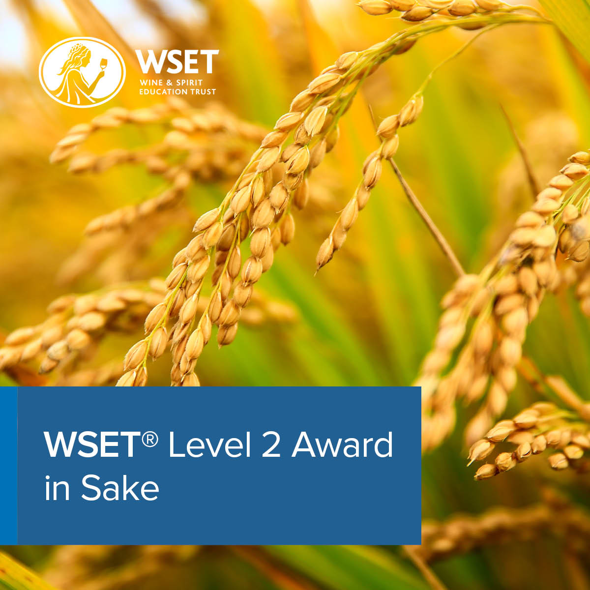 WSET Level 2 Award in Sake - Intensive Course - March 18th, 19th & 20th