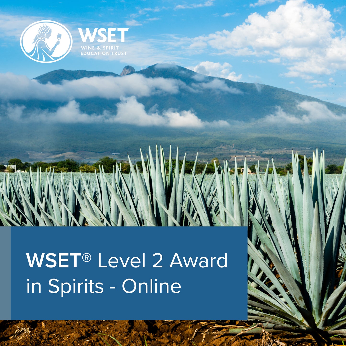 WSET Level 2 Award in Spirits - Online Course - 1st December - 4th January