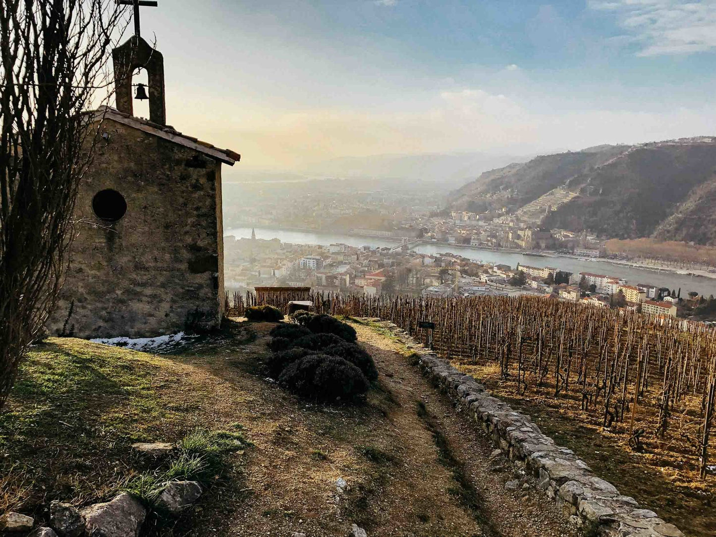 Masterclass: The Northern Rhone Valley