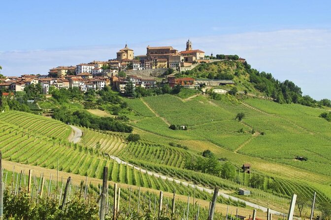 Masterclass: Barolo & Barbaresco