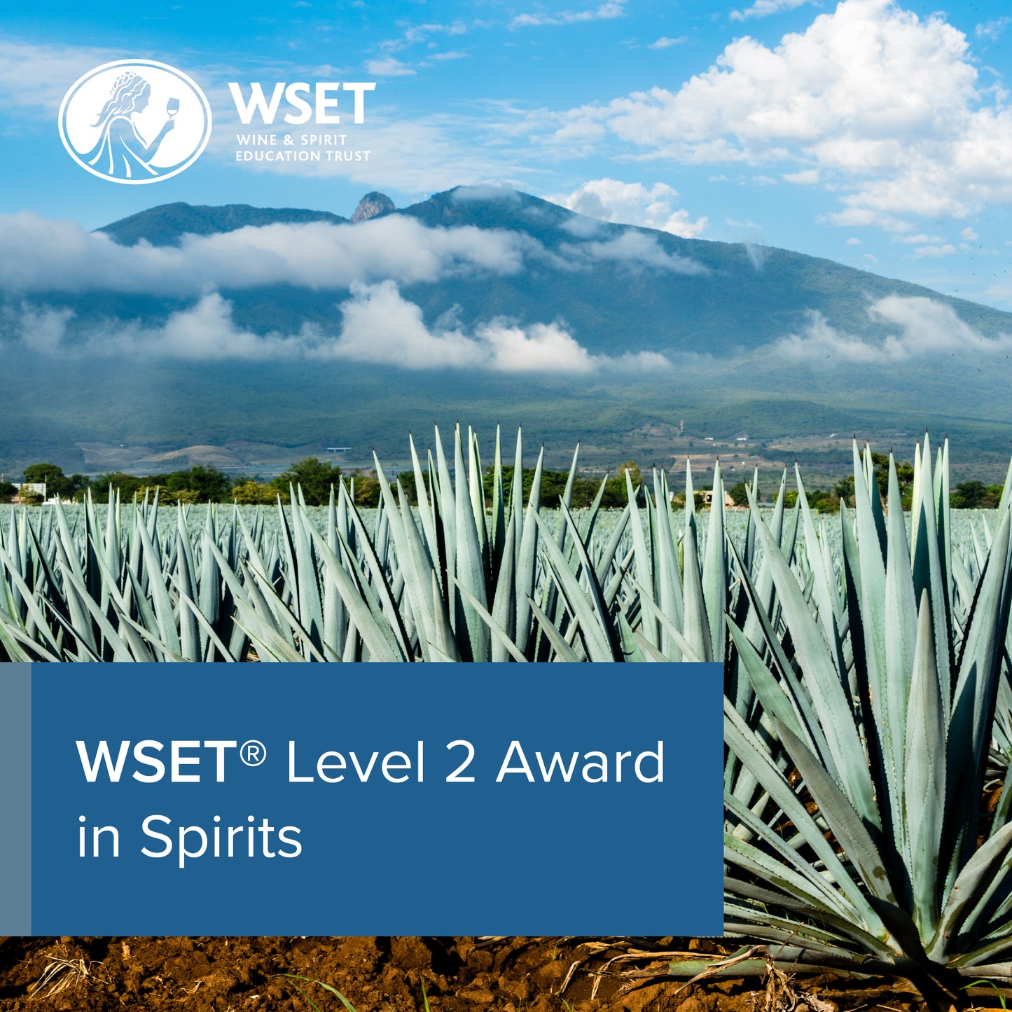 WSET Level 2 Award in Spirits - Intensive Course - May 21st, 22nd & 23rd