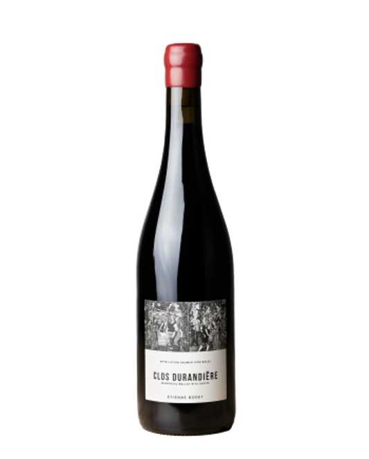 2022 Etienne Bodet Clos Durandière Saumur Rouge
