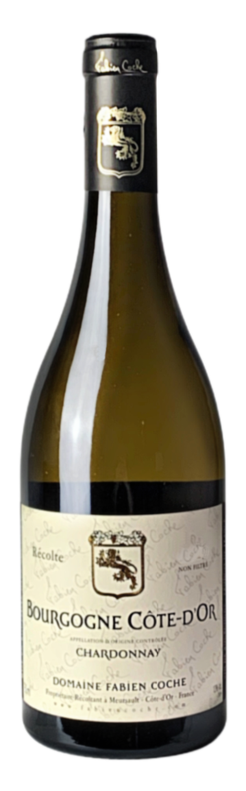 2020 Fabien Coche Bourgogne Cote d'Or Chardonnay