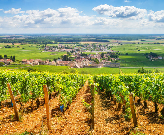 4 Week Wine Evening - Tour de France - TBC