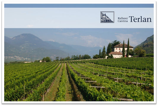 Tasting: Cantina Terlano