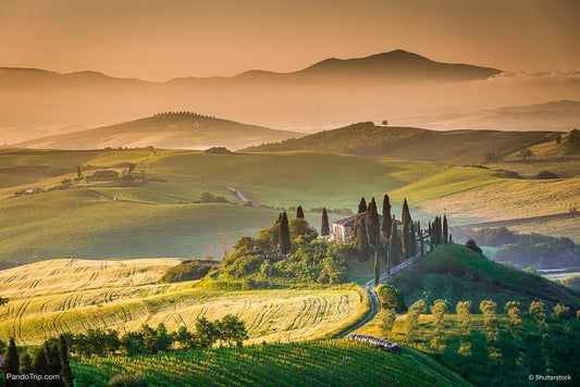 4 Week Wine Evening - Viva Italia - November 18th & 26th, December 3rd & 10th