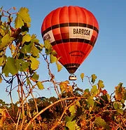 MWS Education Abroad - Barossa Valley - August 2026