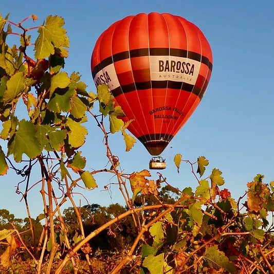 Barossa Wine Enthusiast - Thursday February 13th