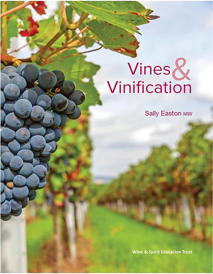 Vines and Vinification - Sally Easton